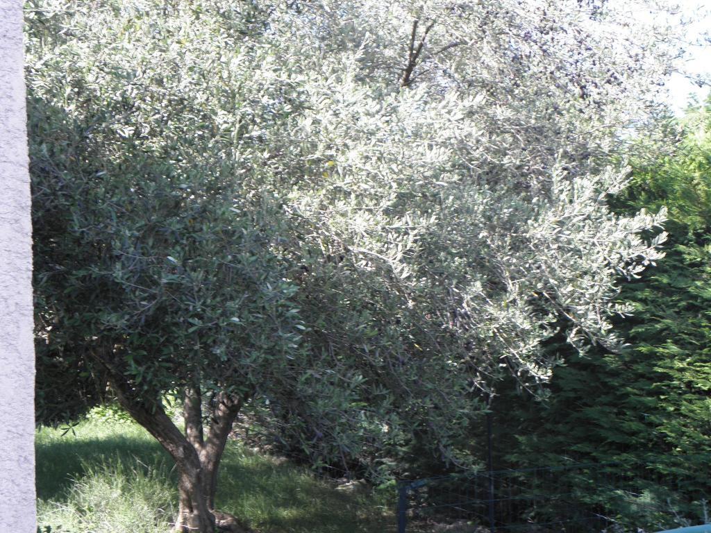 La Parenthese Leilighet Sommières Rom bilde